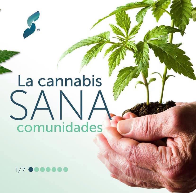 El cannabis sana comunidades