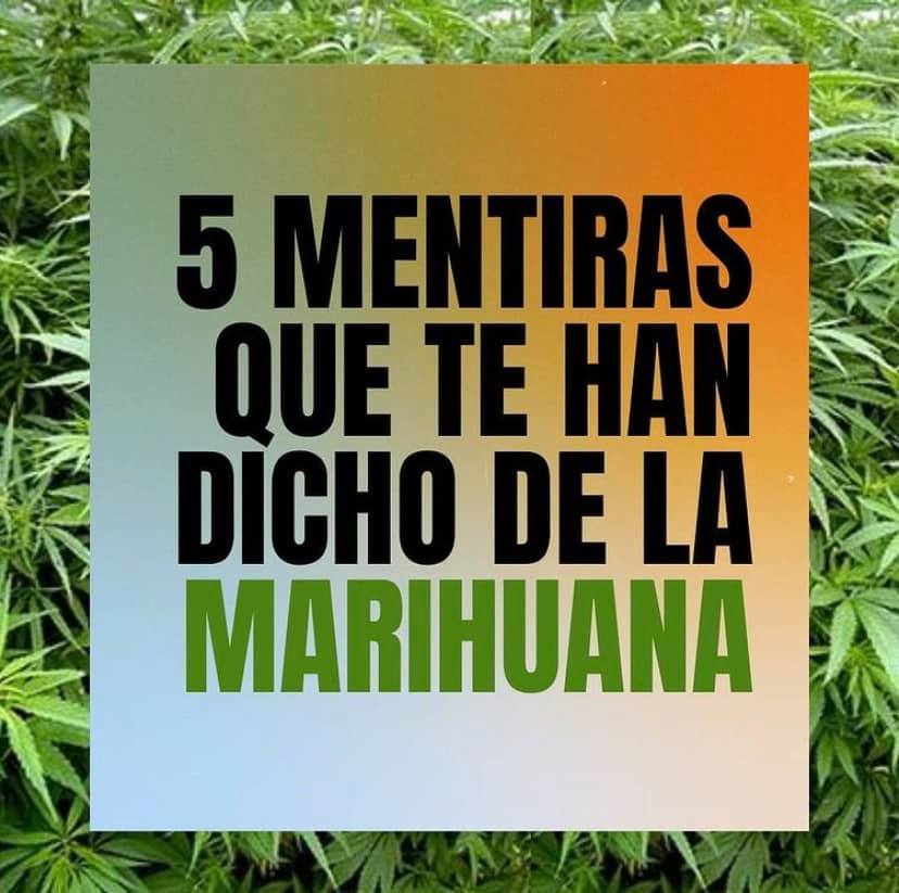 5 mentiras que te han dicho de la marihuana