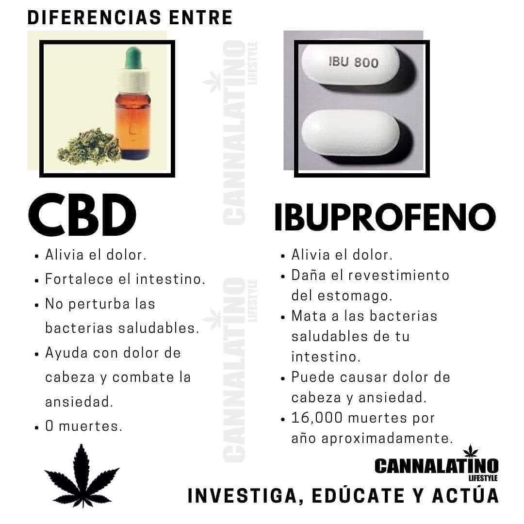 ¡El CBD, un aliado natural contra el ibuprofeno!