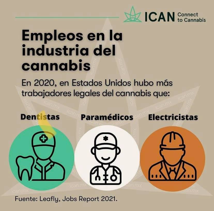 Empleos en la industria del cannabis