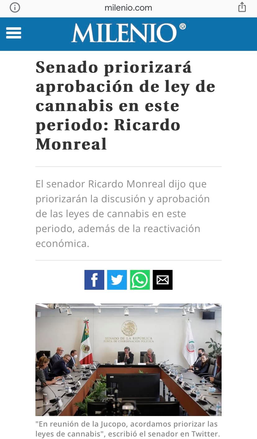 Senado priorizará aprobación de ley de cannabis – Ricardo Monreal